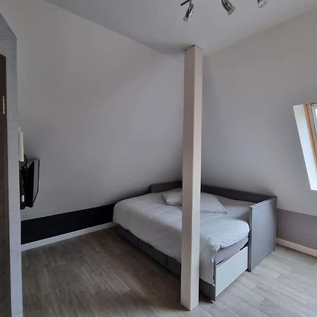 Studio De La Demi Lune Plobsheim Bagian luar foto